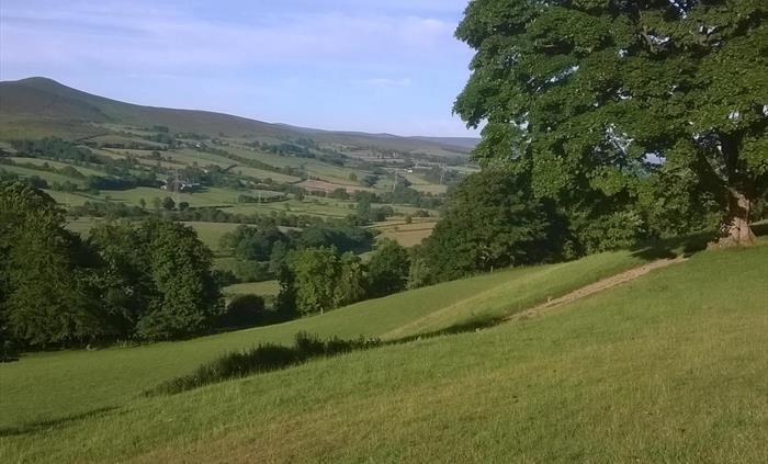 Farm walk to a 360 vange point